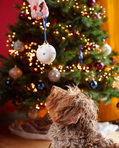 Julekugle Teckel Nhaan Boldspil – Heinen Delfts Blauw Julepynt Heinen Delfts Blauw