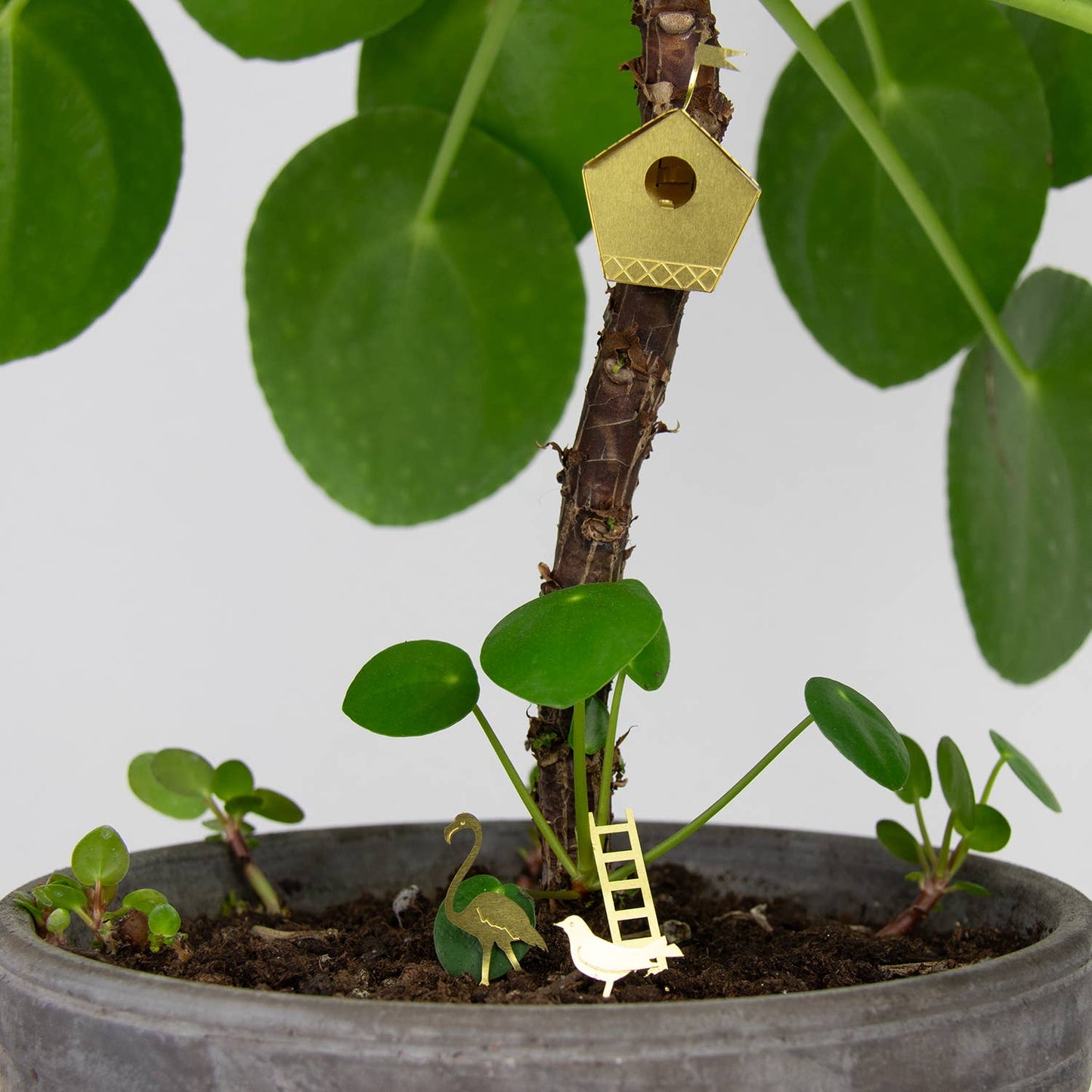 Lille fuglehus til dine planter