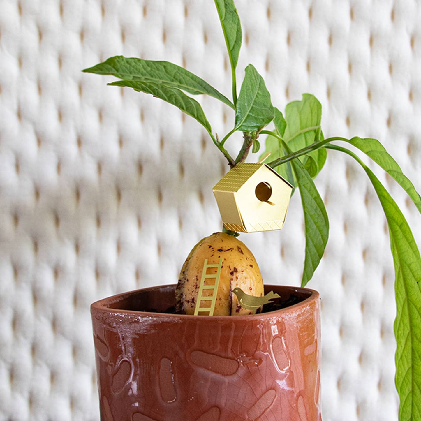 Lille fuglehus til dine planter