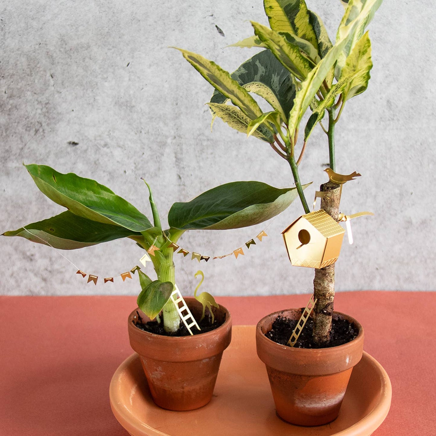 Lille fuglehus til dine planter