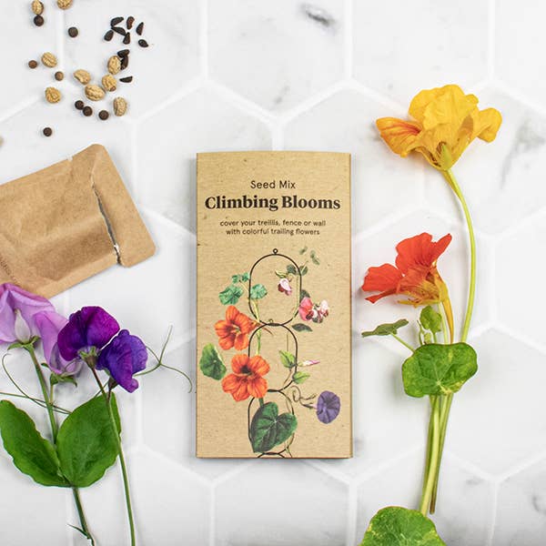 Klatrende Blomster Frøblanding