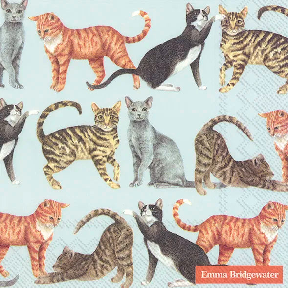 Frokost servietter Cats Light Blue Bridgewater