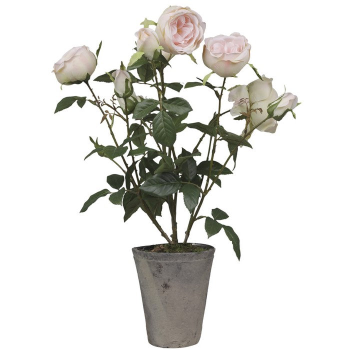 Fleur Rose i keramik Potte Chic Antique