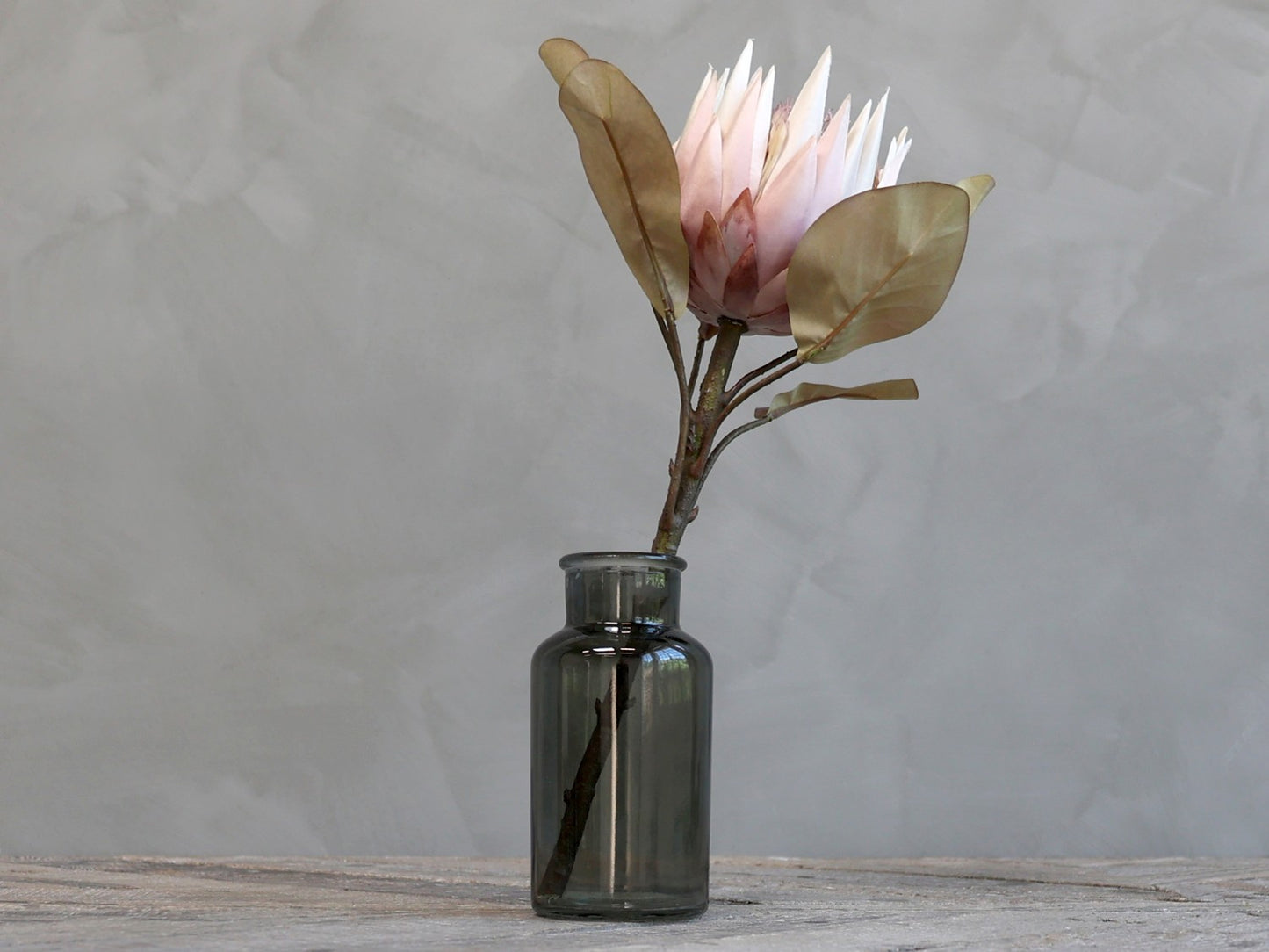 Fleur Protea blomst gammel rosa Chic Antique
