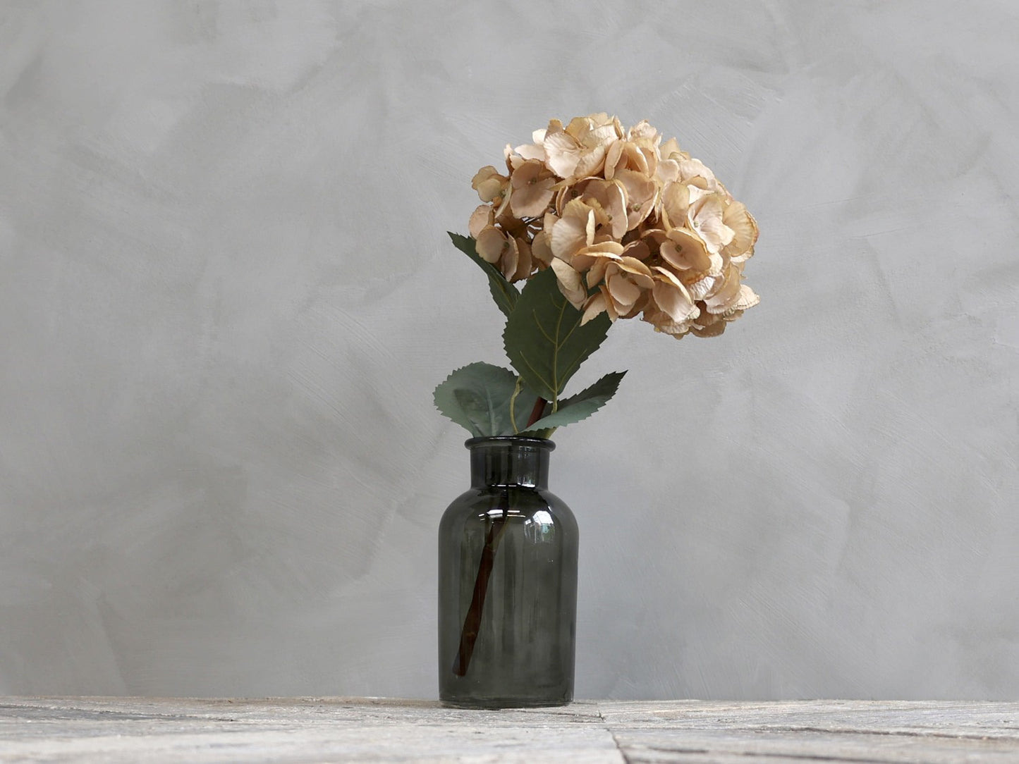 Fleur Hortensia med beige blade