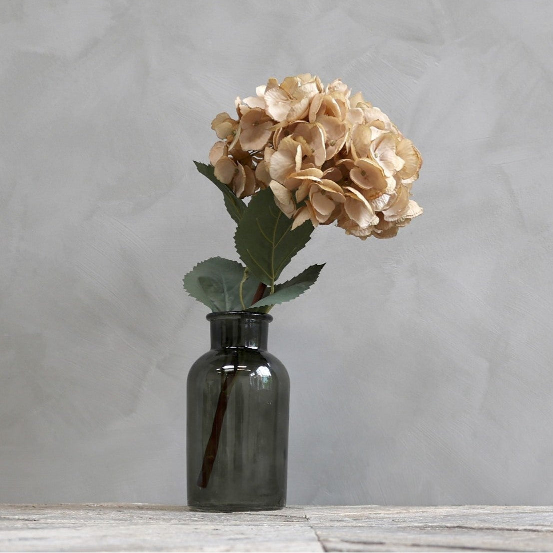 Fleur Hortensia med beige blade