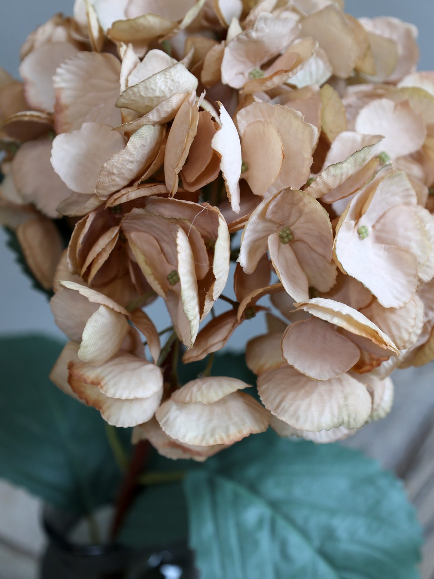 Fleur Hortensia med beige blade