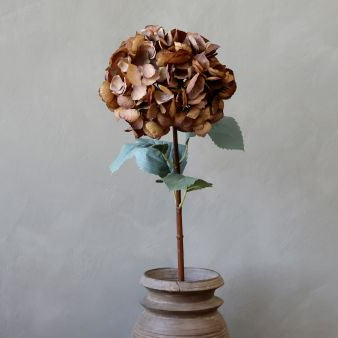 Fleur Hortensia med mocca farvede blade 80 cm