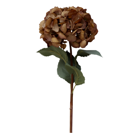 Fleur Hortensia med mocca farvede blade 80 cm