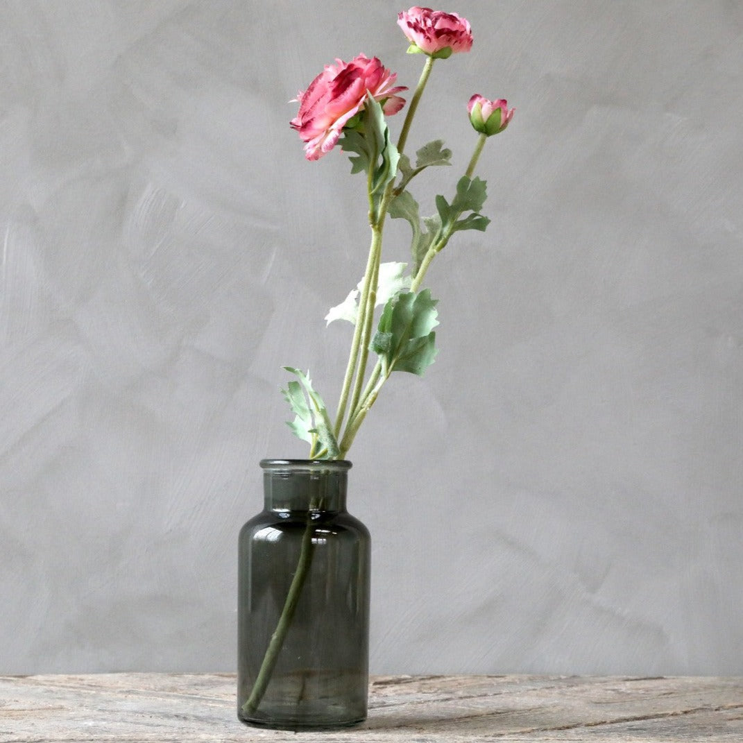 fleur ranunkel rosa