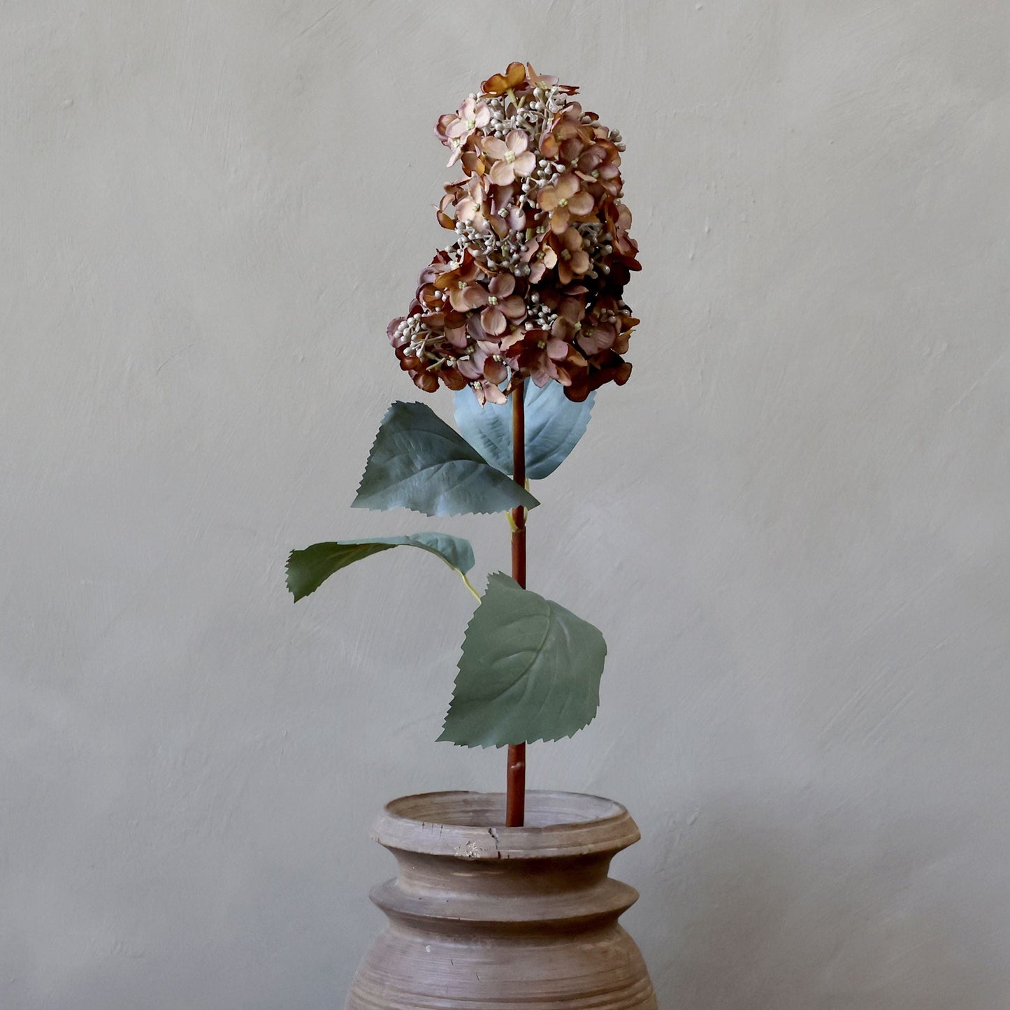 Fleur Hortensia med mocca farvede blade 85 cm