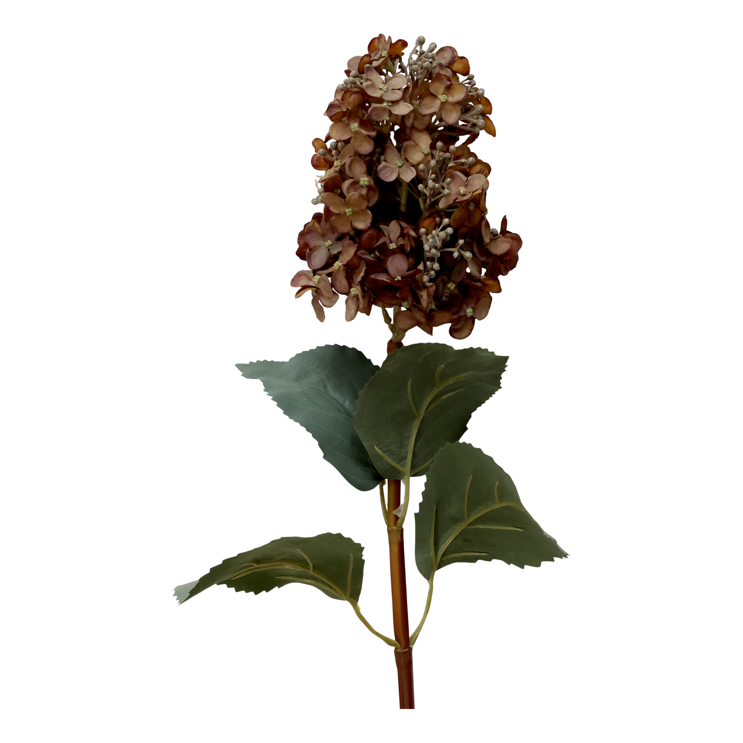Fleur Hortensia med mocca farvede blade 85 cm