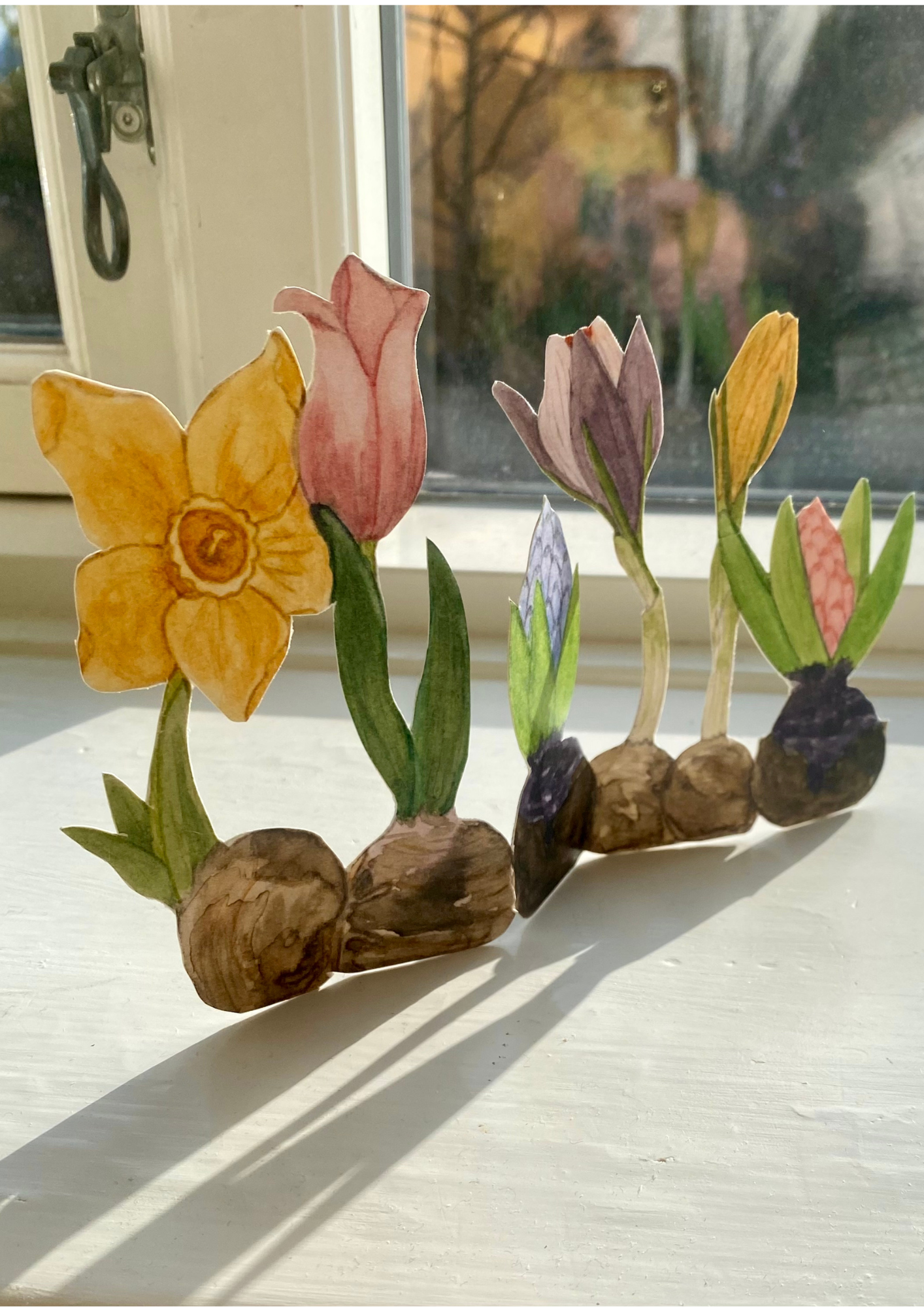 Klippeark Hyacinter fra tall hat talls Tall Hat Tales