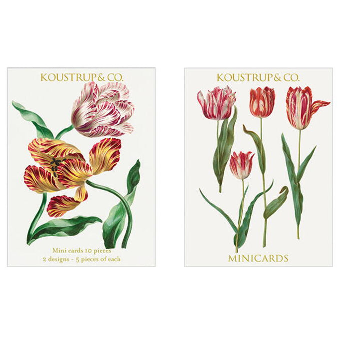 Minidobbeltkort med Tulipaner – 10 stk. inkl. kuverter Koustrup & Co