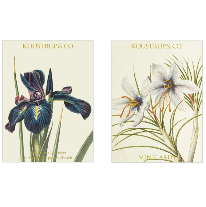 Minidobbeltkort med Iris – 10 stk. inkl. kuverter Koustrup & Co