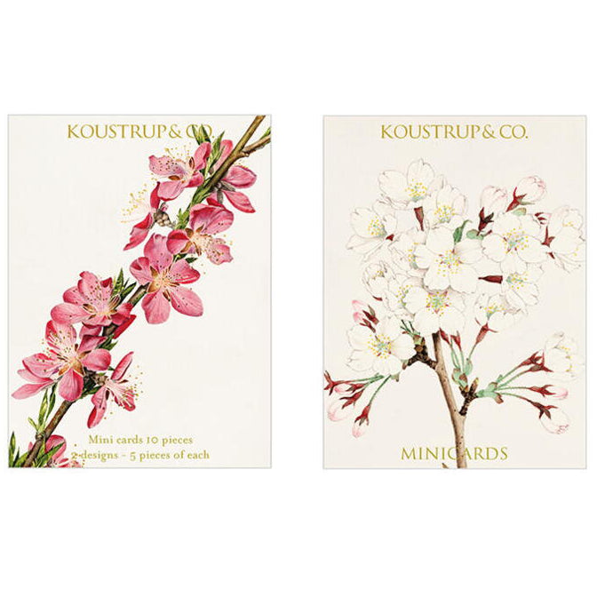 Minidobbeltkort med Blossom – 10 stk. inkl. kuverter Koustrup & Co