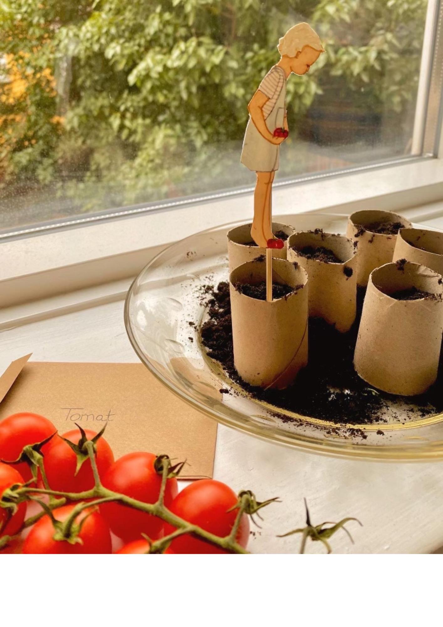Plantebørn til dine urtefrø fra tall hat tales