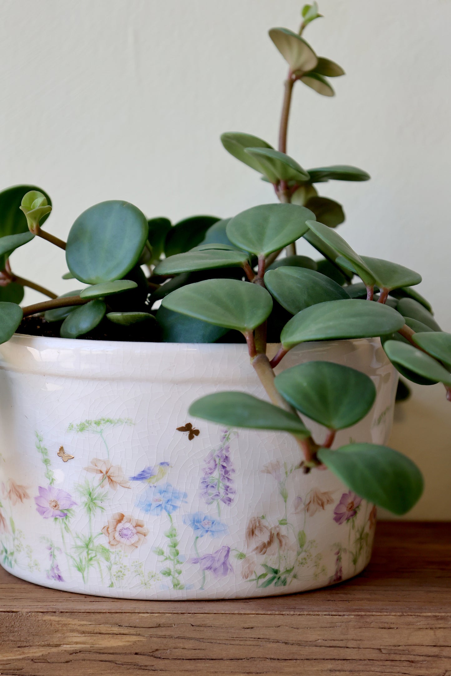 Håndlavet keramikfad med blomster – Papillon | Creme