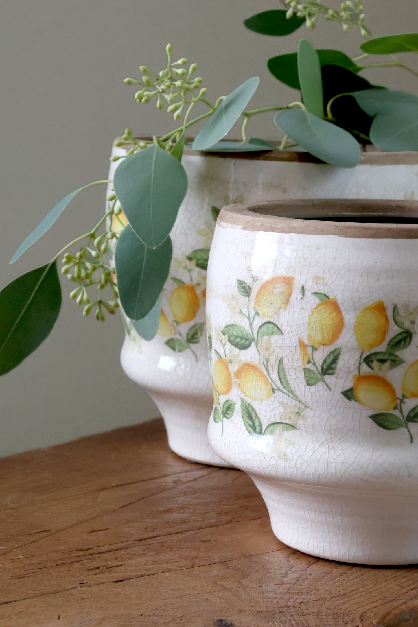 Håndmalet keramisk planteskjuler med citroner og blomster – Limone Blossom | Creme