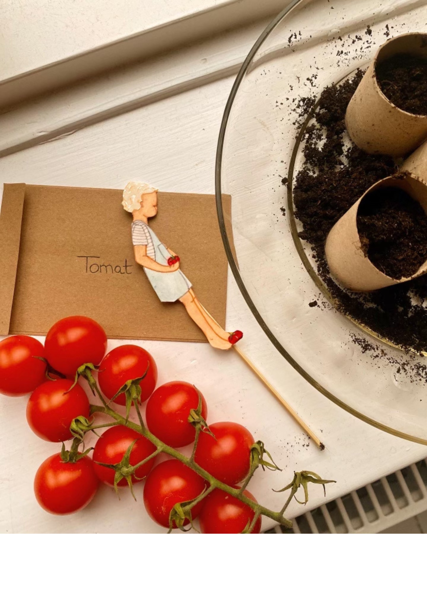 Plantebørn til dine urtefrø fra tall hat tales