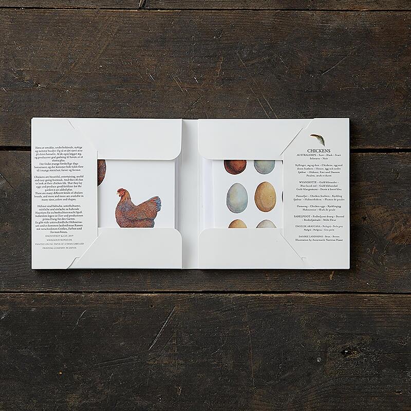 Kvadratisk kortmappe med høns 8 kort Koustrup & Co