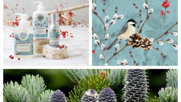 Skum håndsæbe Winterberry & balsam Michel design works 530 ml