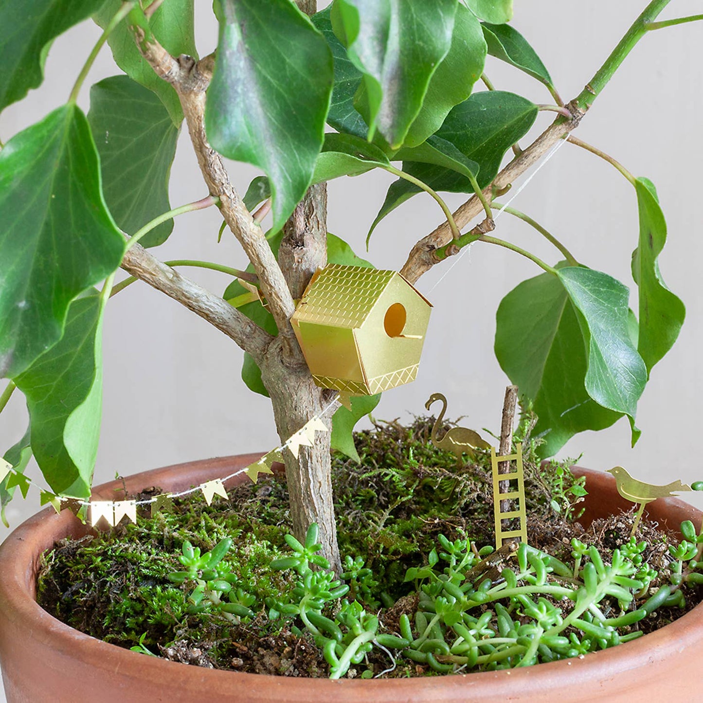 Lille fuglehus til dine planter