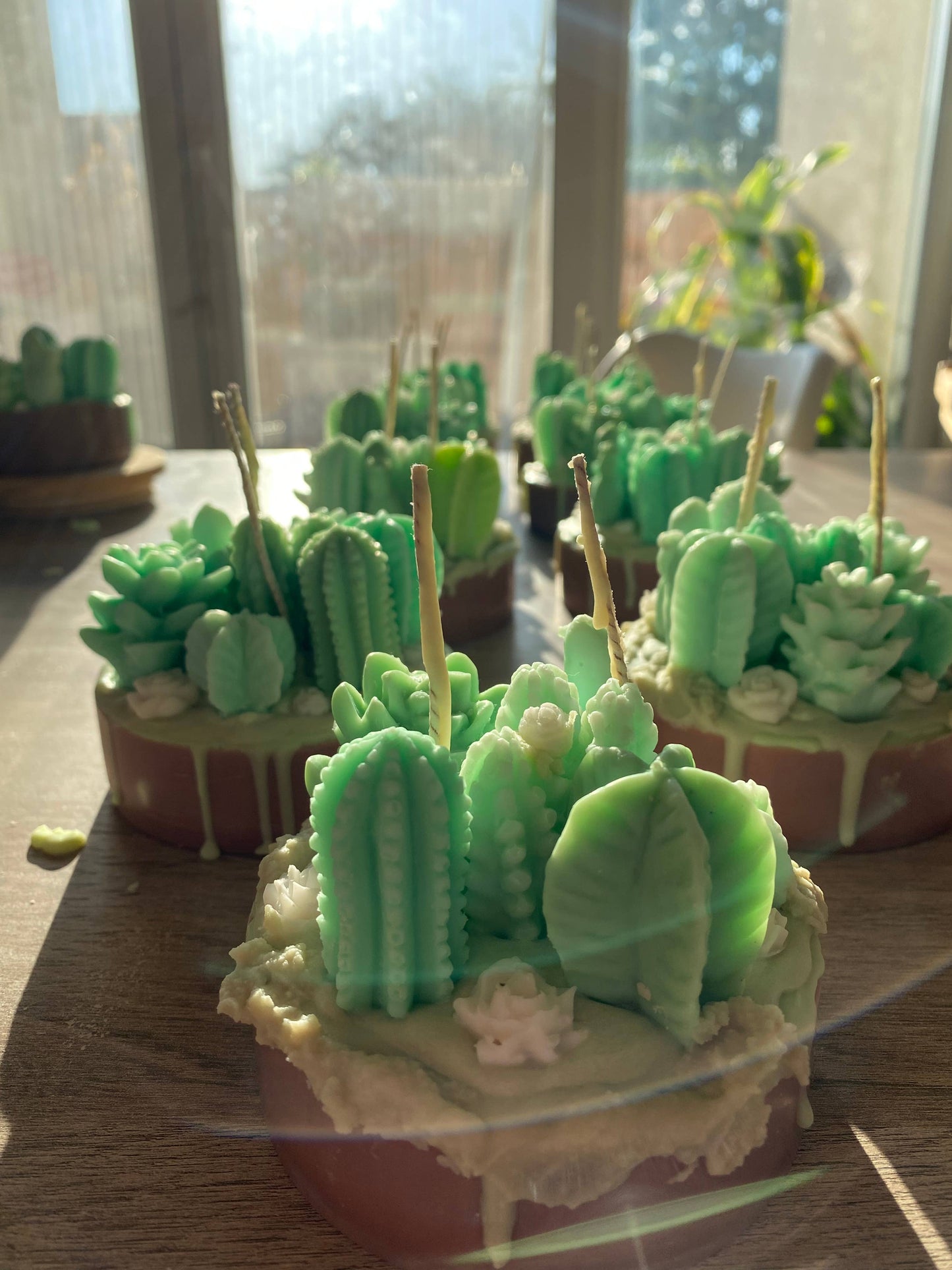 Håndlavet kaktus terrarium stearinlys