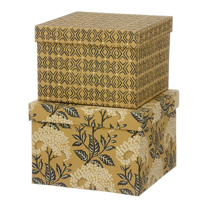 Kasser fra Bungalow Cubic Duo box Elderflower Camel Bungalow Default Title