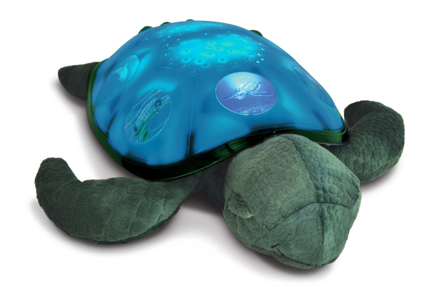 Twilight Sea turtle