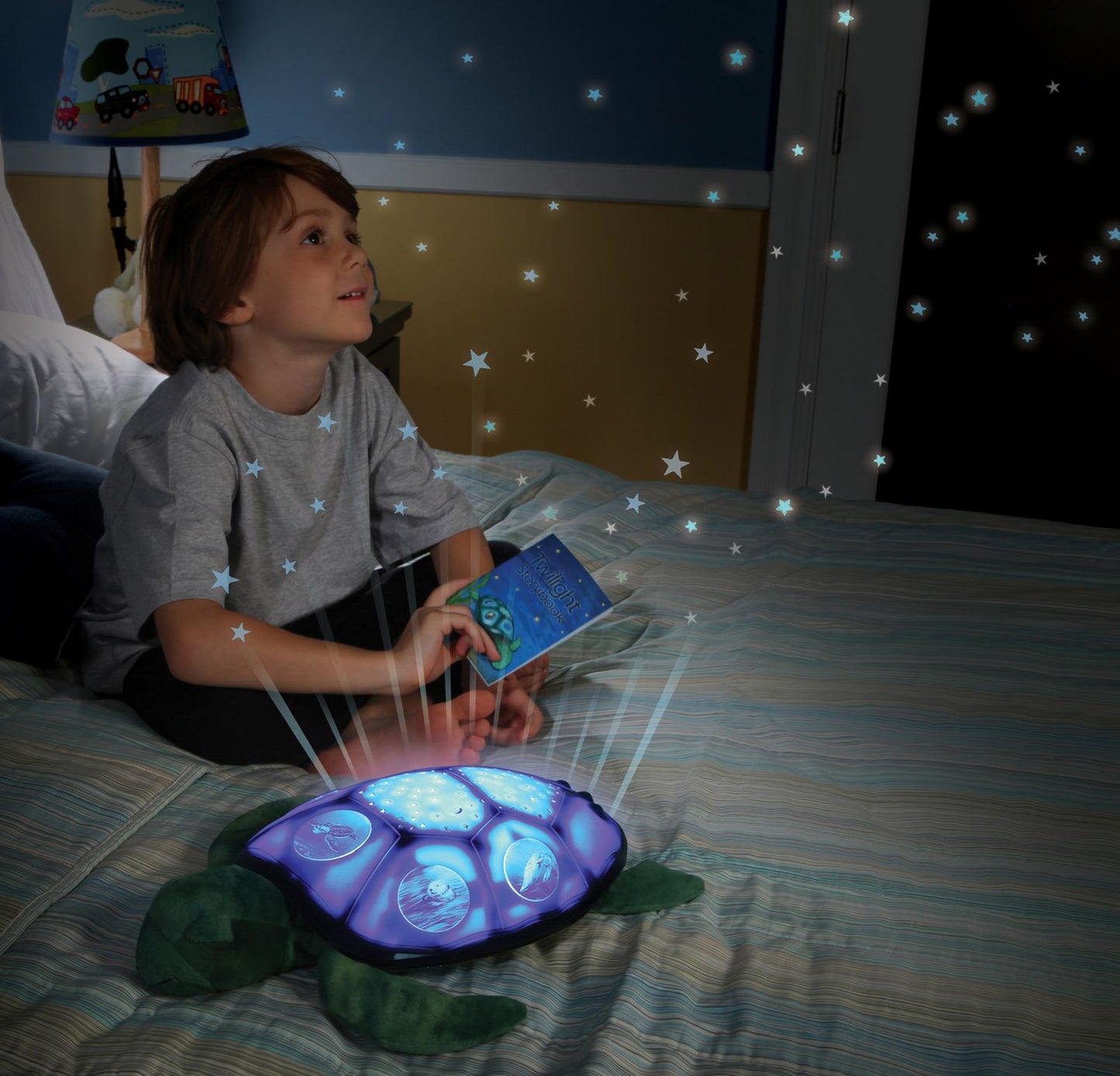 Twilight Sea turtle