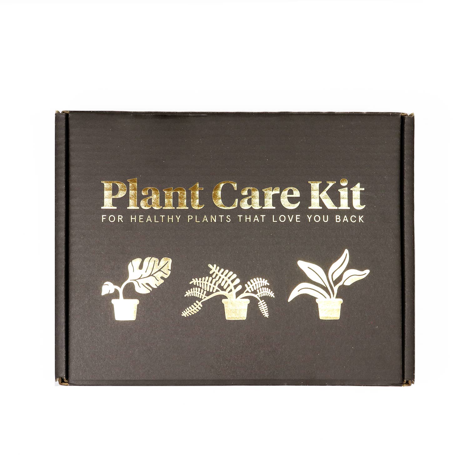 Plant Care-sæt – til sunde planter, der elsker dig tilbage Botanopia - gifts , decor and cards for plant lovers