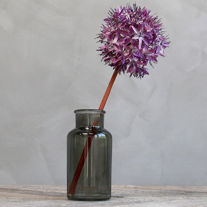 Blomst Allium 58 cm