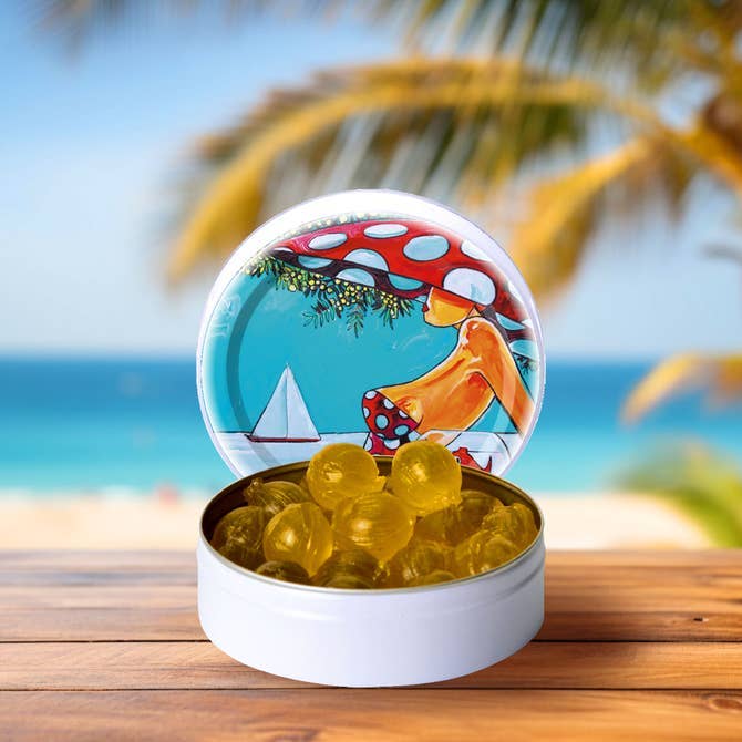 Mint Pastiller 45g - François Groslière Design i Metalæske Bonbon-France