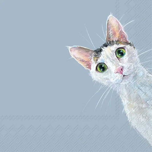 Frokostserviet med kat – 33x33 cm | Cat Stella Frokostservietter IHR