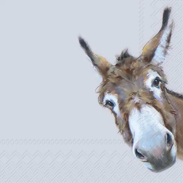 Frokostserviet med æsel – 33x33 cm | Donkey Gonzo Frokostservietter IHR