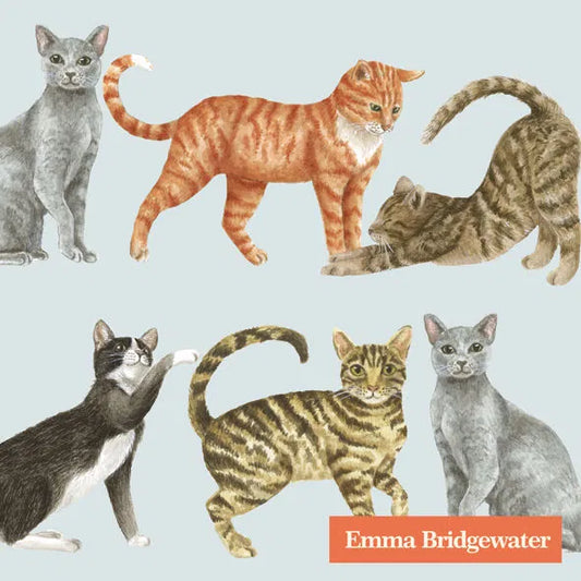 Kaffeservietter Cats Light Blue