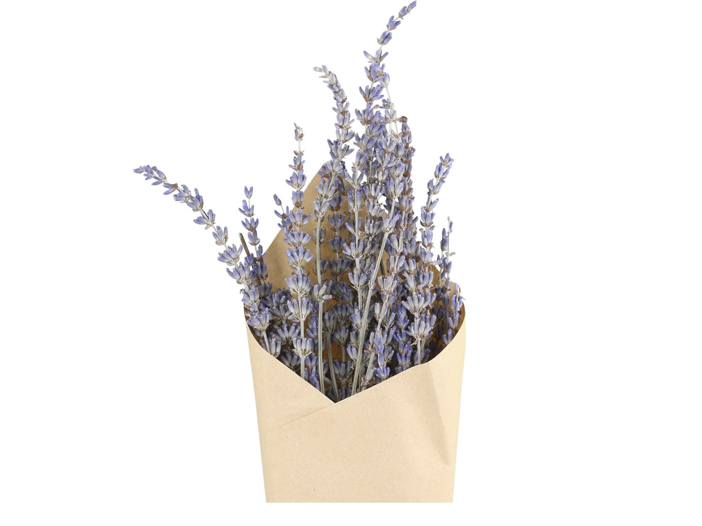 Fleur tørret Lavendel fra Chic Antique