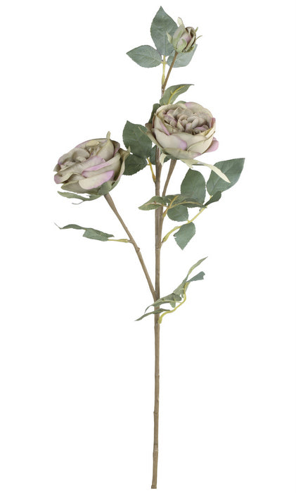 Fleur Rose støvet grøn