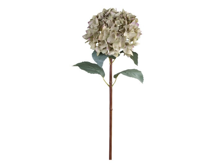 Fleur Hortensia med blade grøn Chic Antique