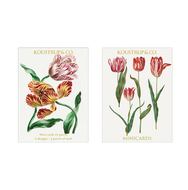 Mini kort forår Tulipan