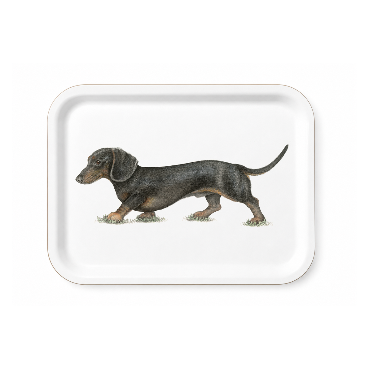 Max - Gravhund - Bakke Lille Charlotte Nicolin