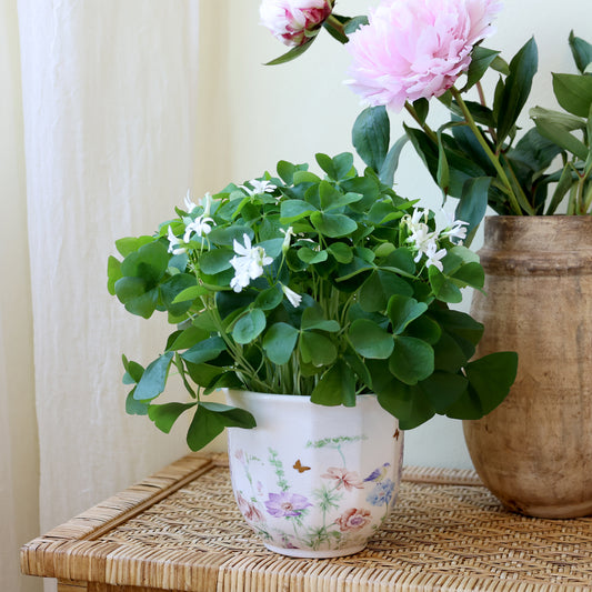 Håndlavet keramisk planteskjuler med blomster – Papillon | Creme