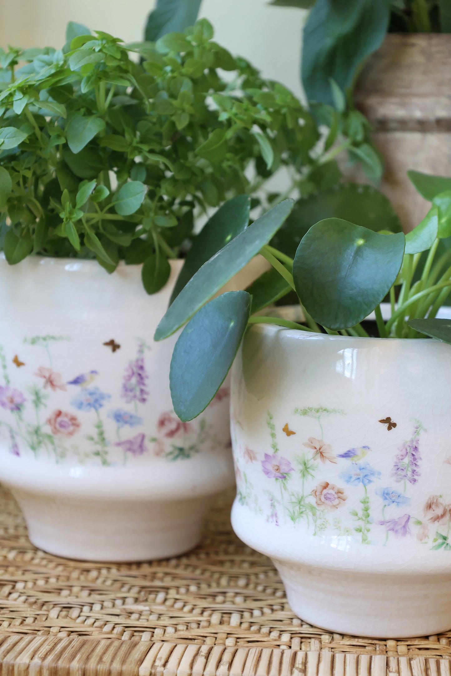 Håndlavet keramisk planteskjuler med blomster – Papillon | Creme | Medium