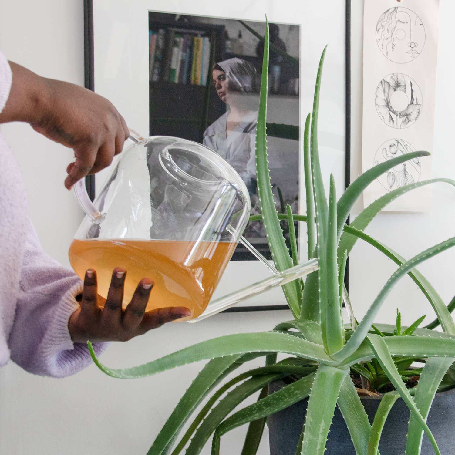 Komplet Økologisk Plantenæring 450 ml – Pumpeflaske Botanopia