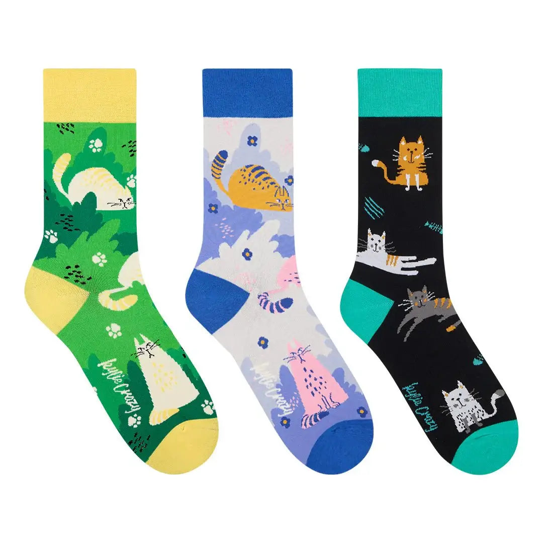 Originalpakke med 3 par katte-strømper + killingekasse Sokker KYLIE CRAZY