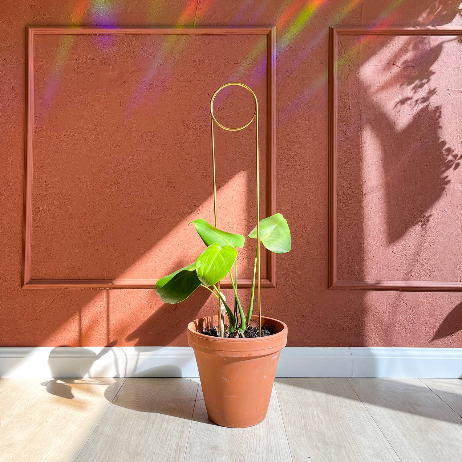 Gylden Plantepind – Elegant Plantemarkør og Støtte Botanopia