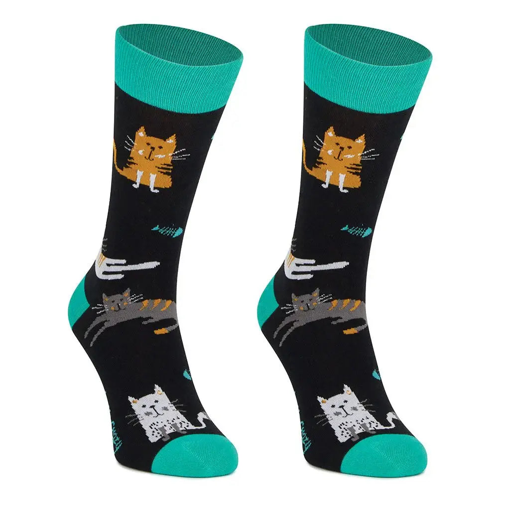 Originalpakke med 3 par katte-strømper + killingekasse Sokker KYLIE CRAZY