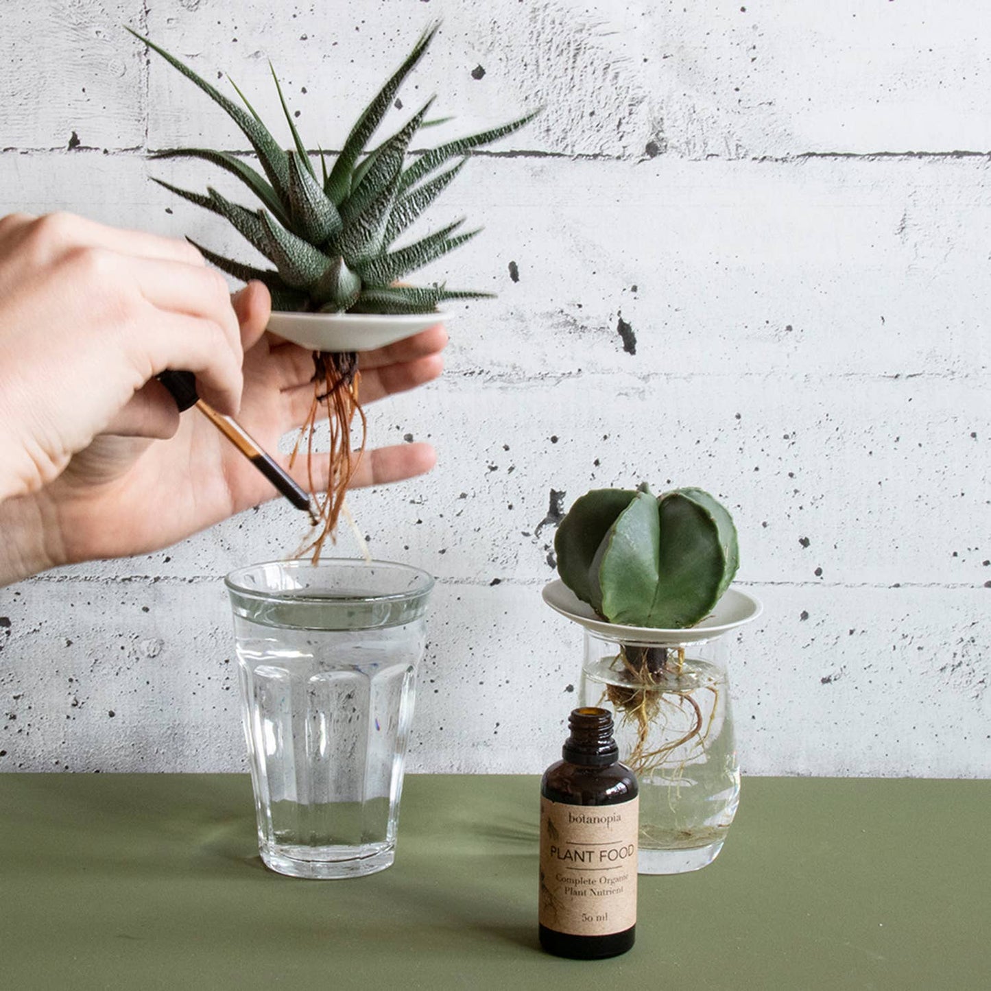 Komplet Økologisk Plantenæring - 50 ml