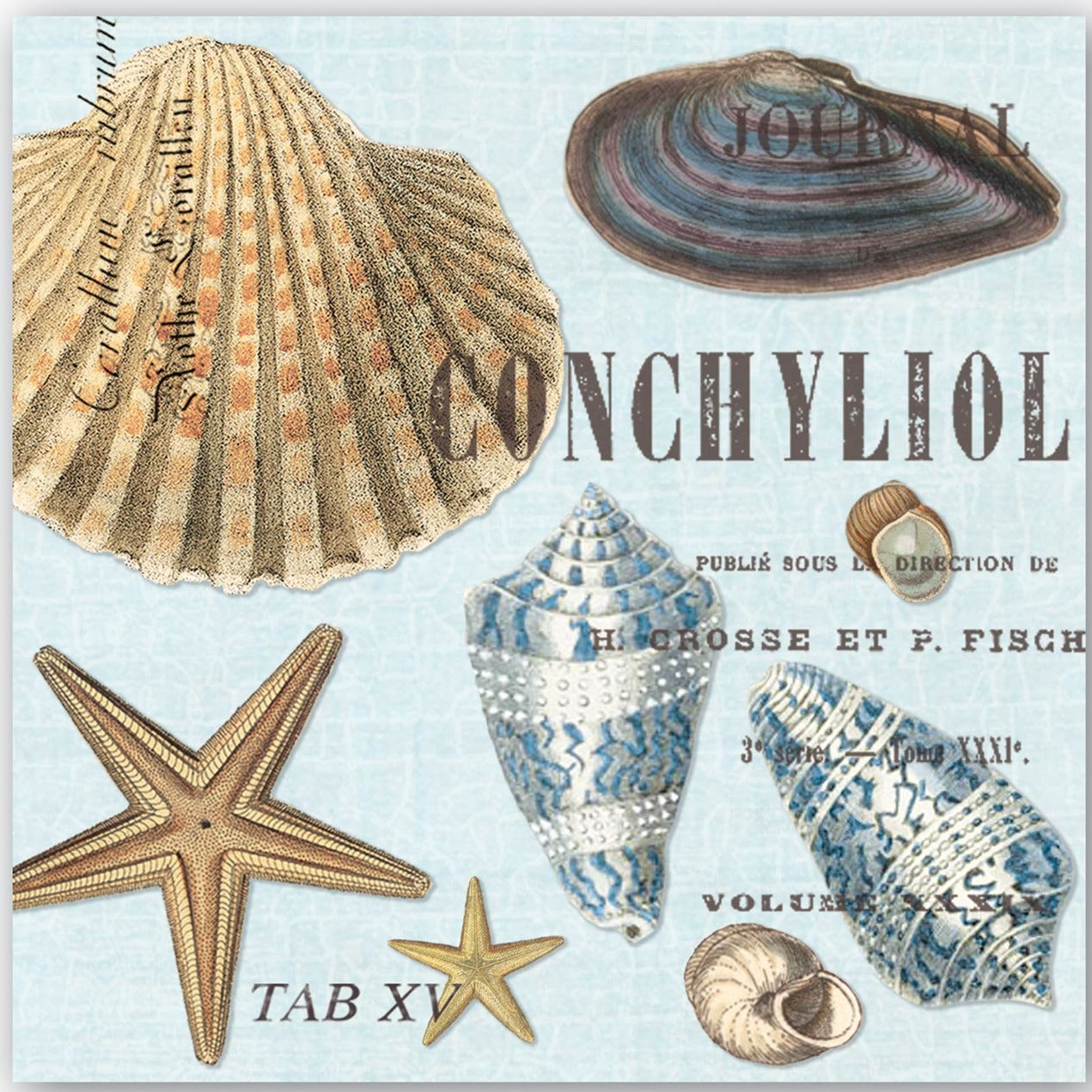 Kaffe servietter Seashells Michel Design Works